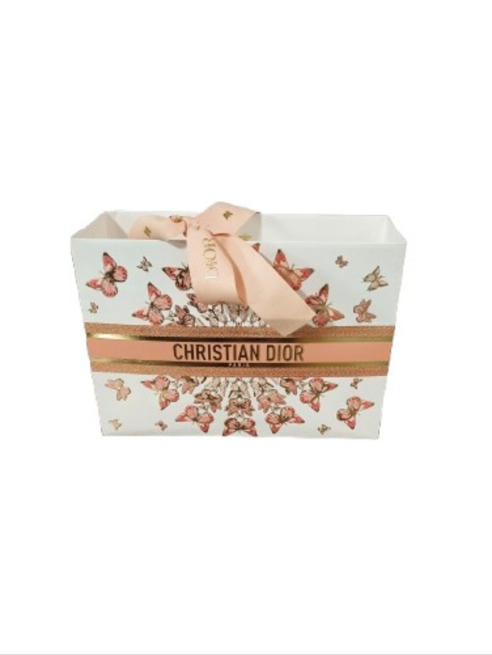 Dior Gift Bag